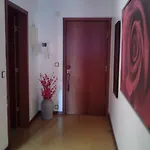 Telheiras Apartamento